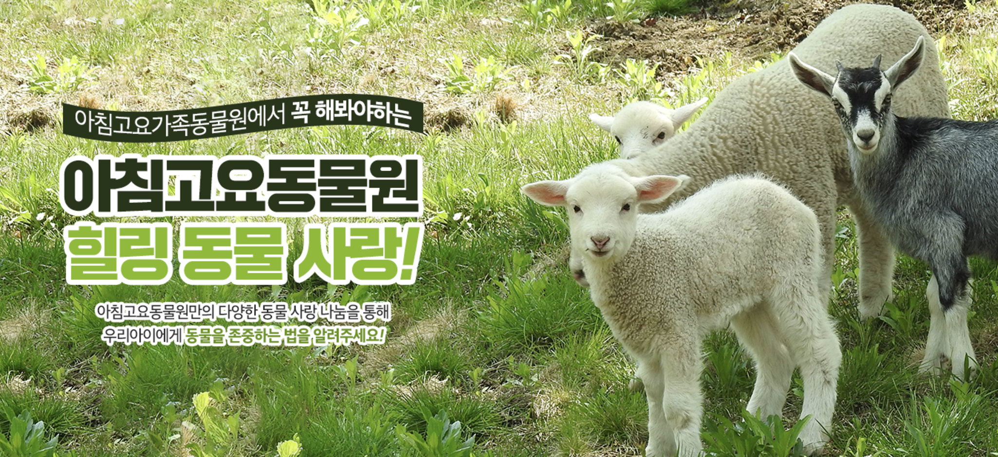 아침고요가족동물원