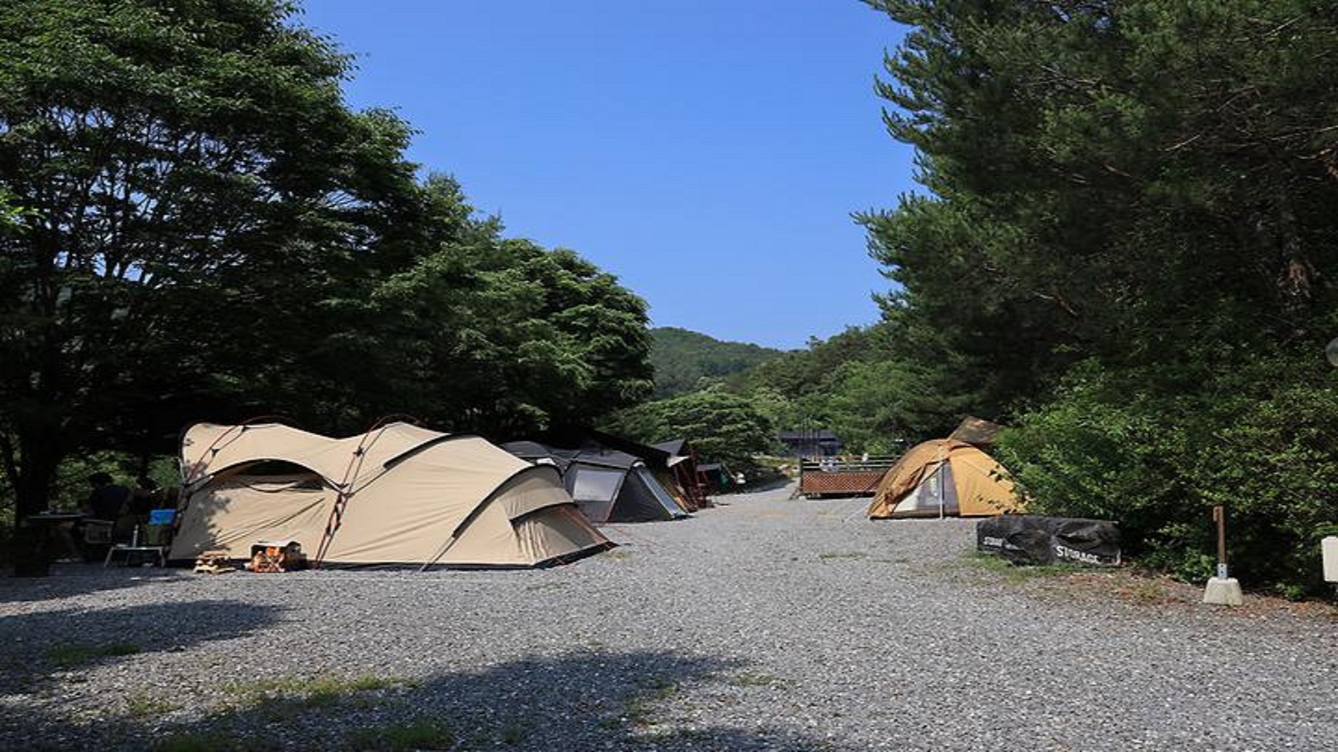 영월군 월드니스 오토 캠핑장 예약 바로가기