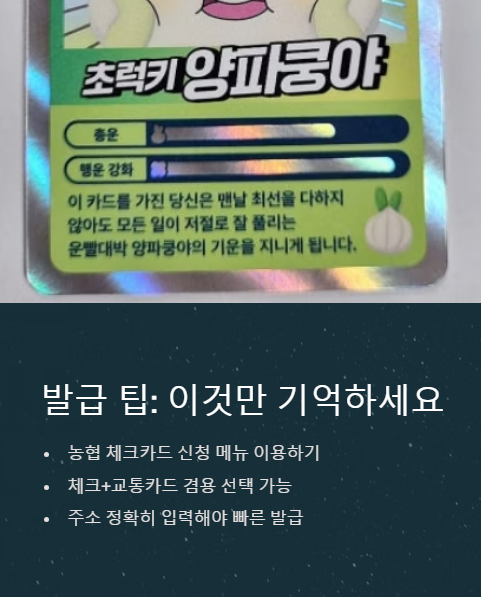 발급 팁 이것만 기억하세요