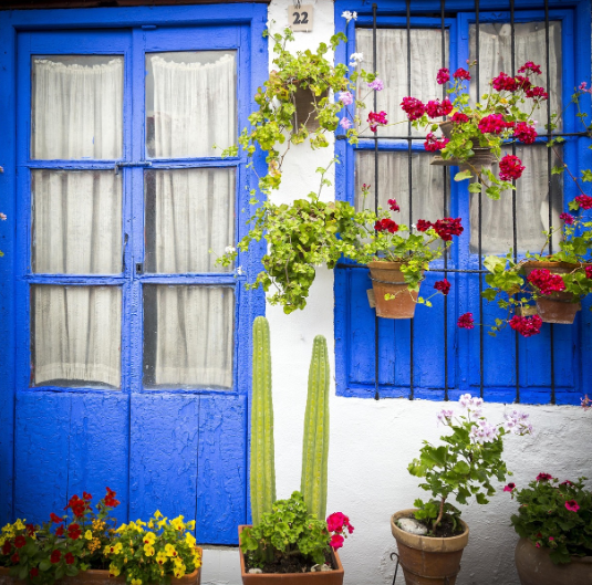 코르도바 테라스 꽃