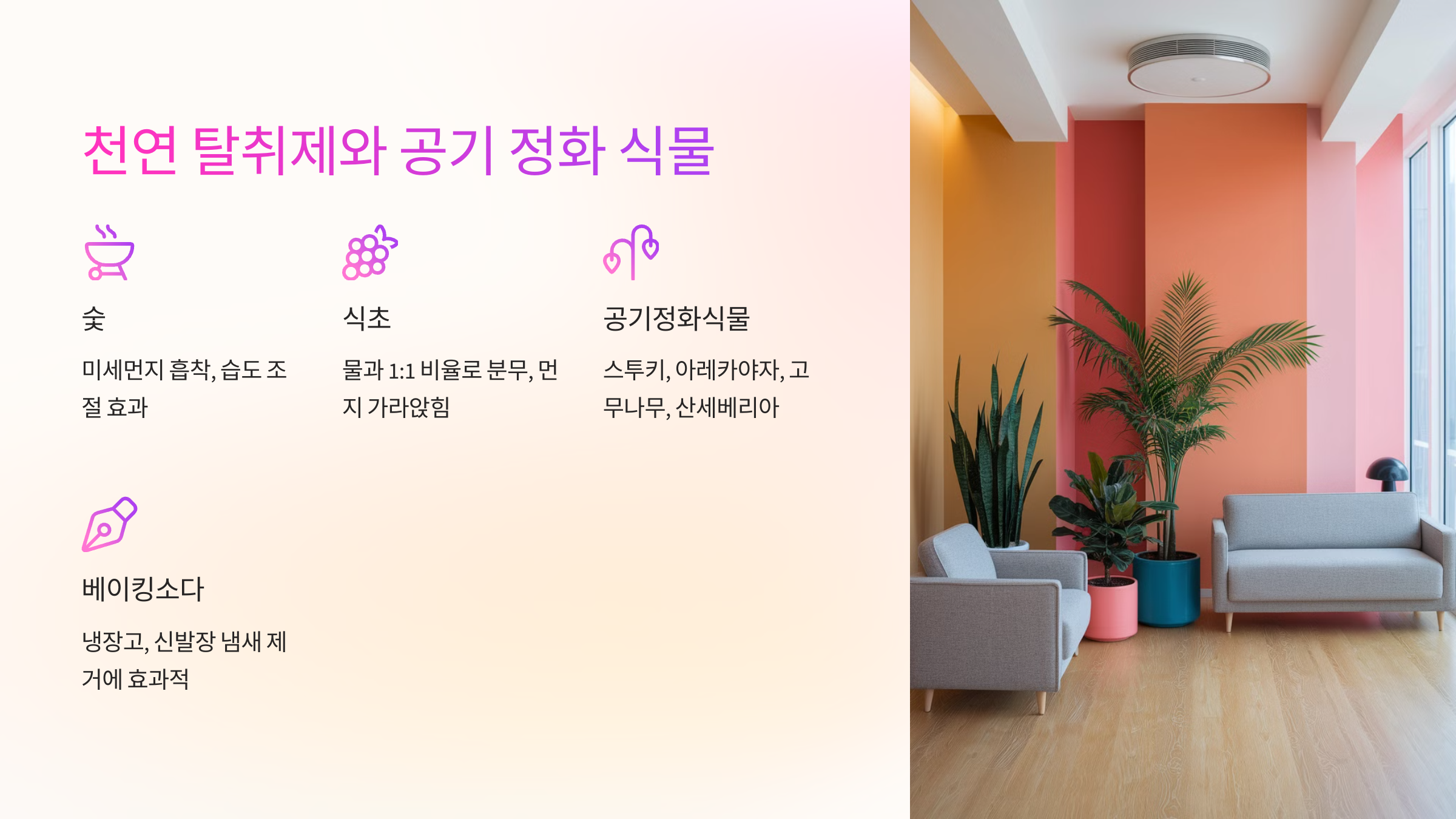 🌿 천연 탈취제와 공기 정화 식물