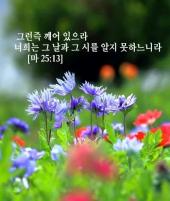 마태복음 25장 설교 아이디어 비유 말씀 강해_7