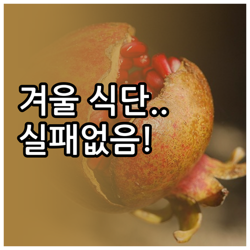 실패 없는 겨울 다이어트 식단 제철 ..