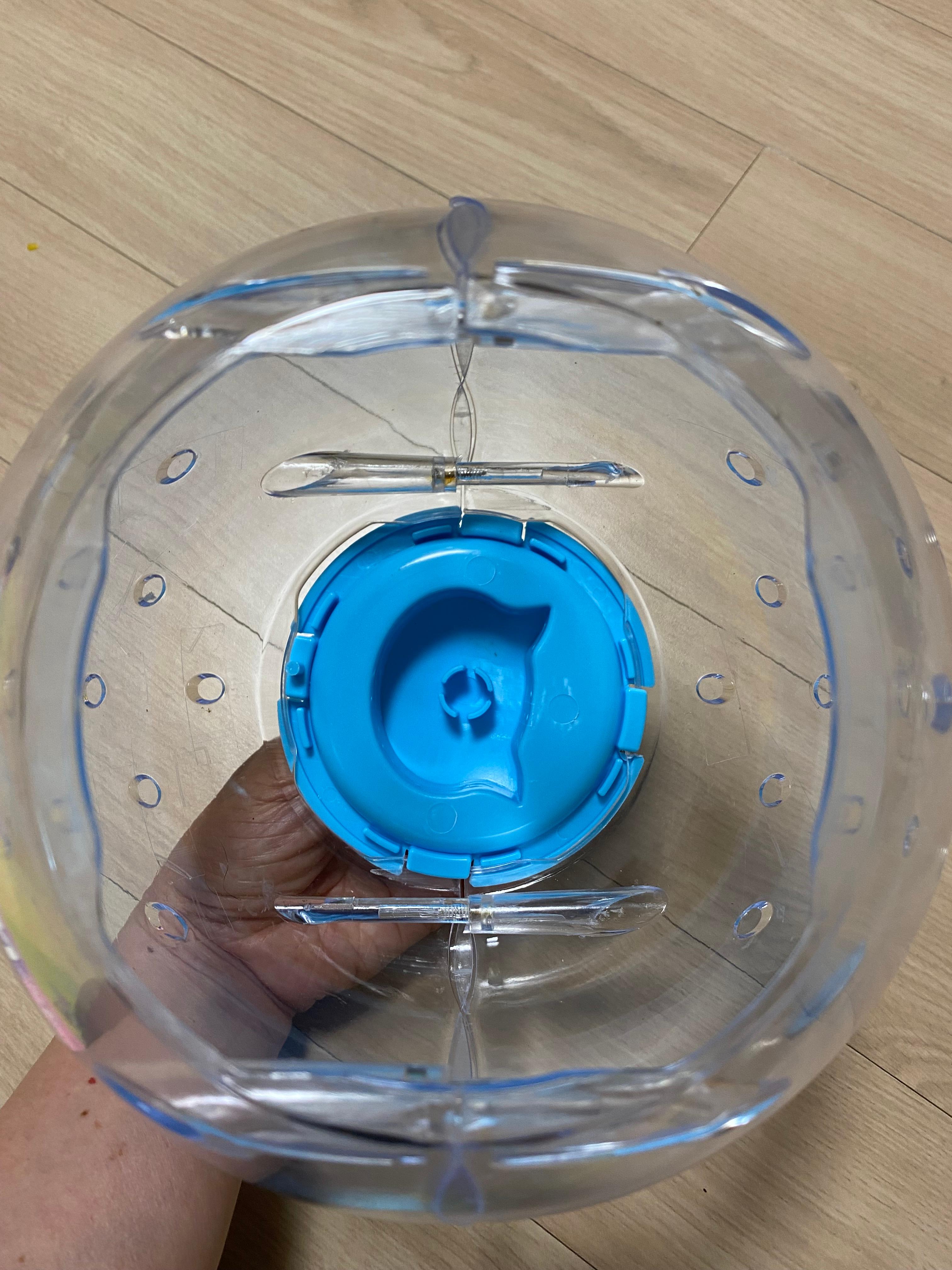 햄스터볼 윗뚜껑 빼고 안쪽 모습