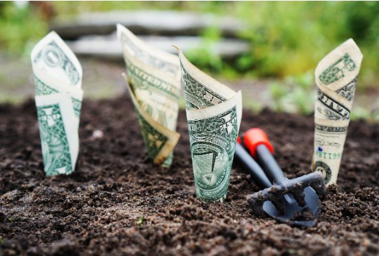 흙에 심어진 달러 지폐와 작은 갈퀴로 표현한 투자 성장 이미지