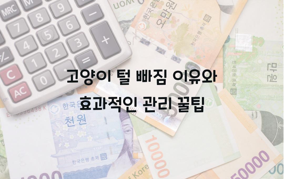 고양이 털 빠짐, 이유와 관리 꿀팁