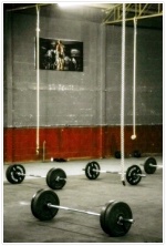 체지방량과 체지방률