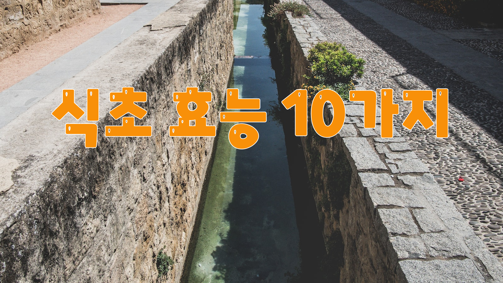 식초, 효능, 알아보기