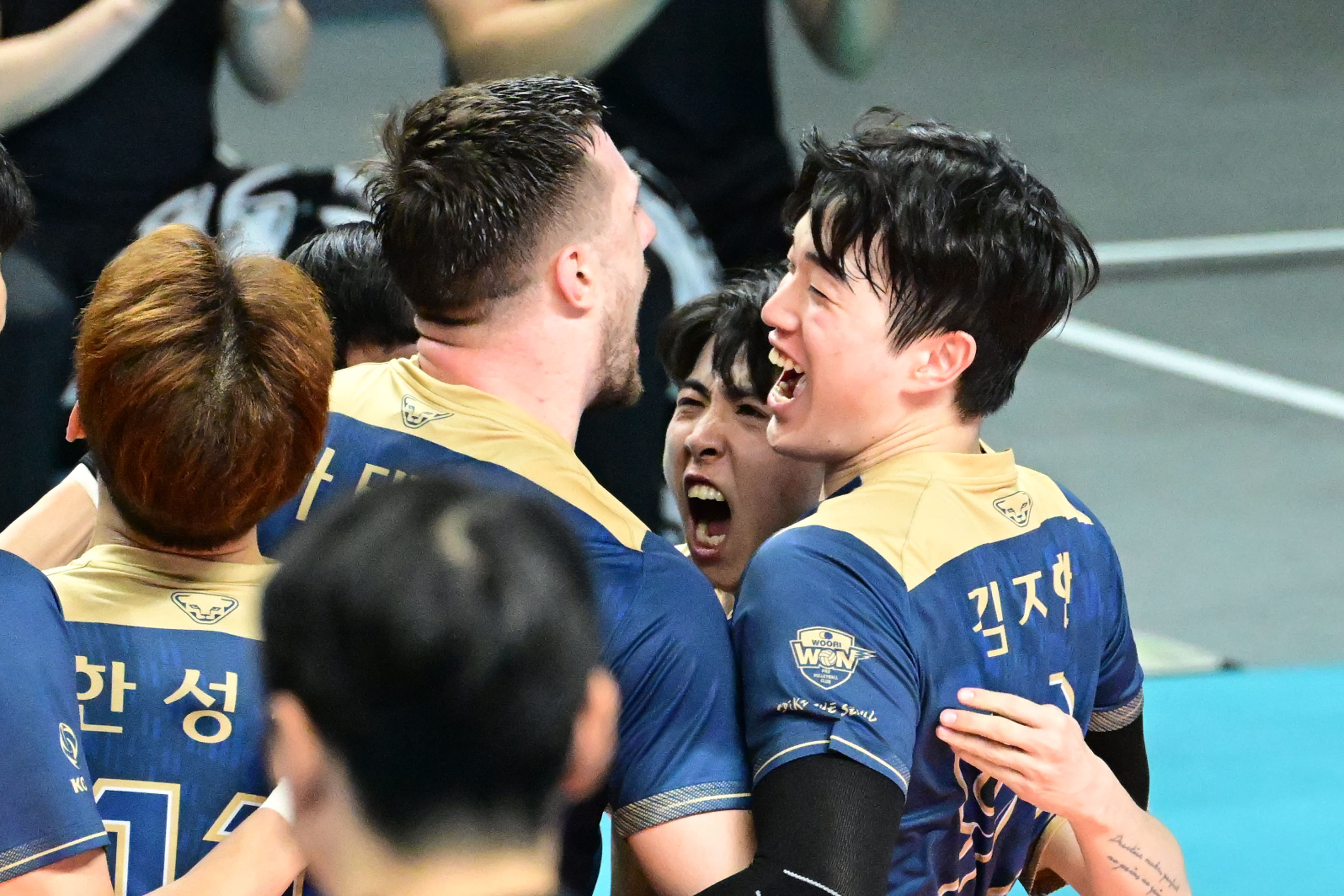 KOVO 프로배구