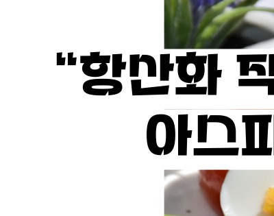 아스파라거스 효능