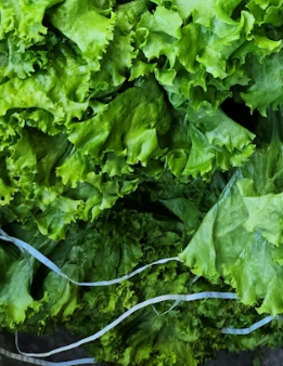 배추 효능 부작용 칼로리