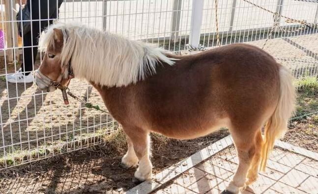 익산 가볼만한곳 베스트 10