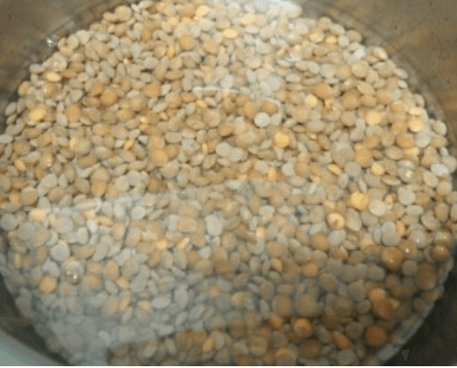 렌틸콩 삶기(삶는법) 먹는 방법(요리, 밥) 효능 및 종류