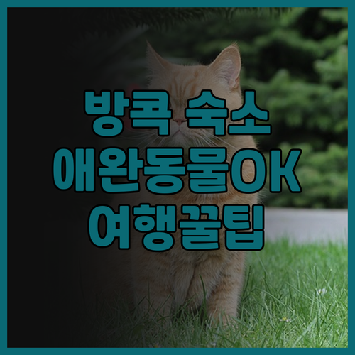 방콕 숙소 추천 여행자의 집 애완동물