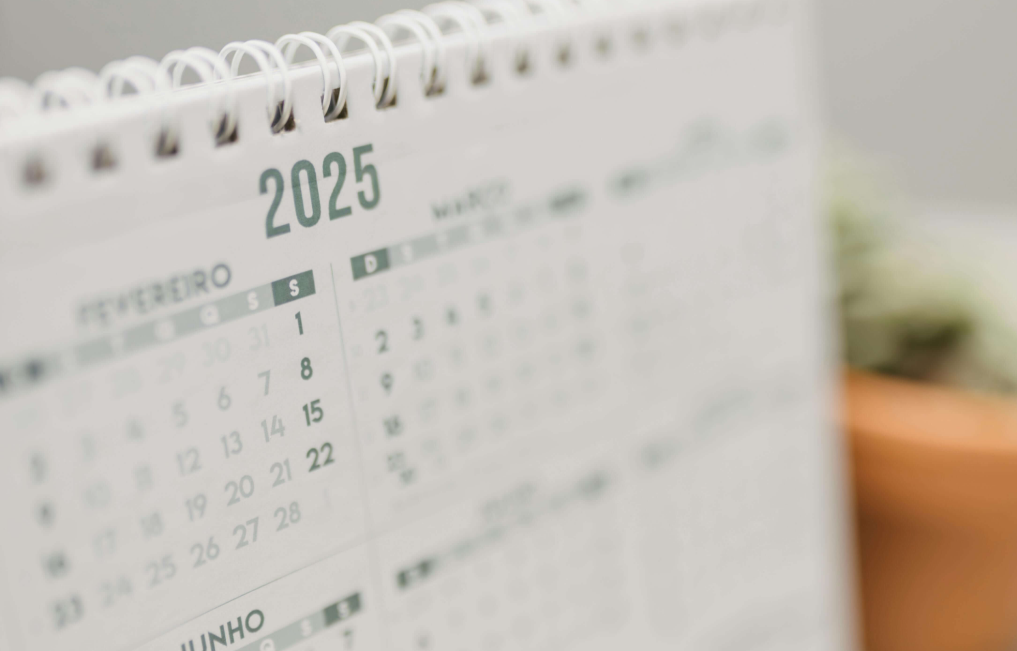 2025 신년운세