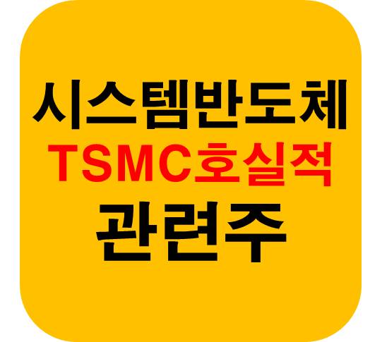 시스템 반도체 TSMC