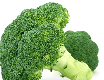 브로콜리