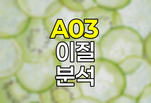 A03 이질 종합 분석, 증상부터 보험까지