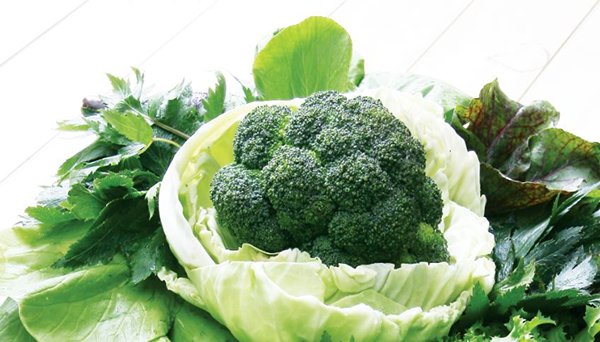 운동 전 피해야하는 음식