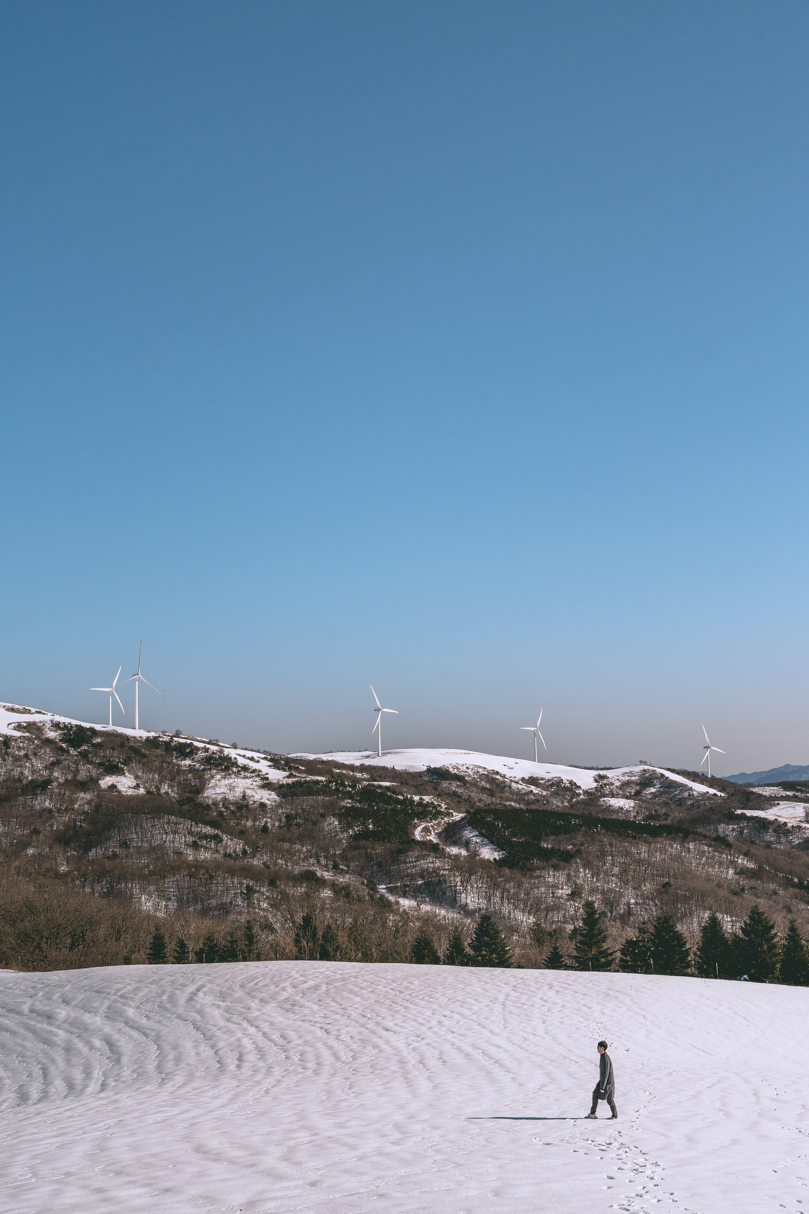 Alpha 9 II ㅣ SEL1635GM ㅣ@hansfoto