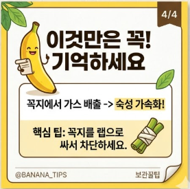 바나나 보관법