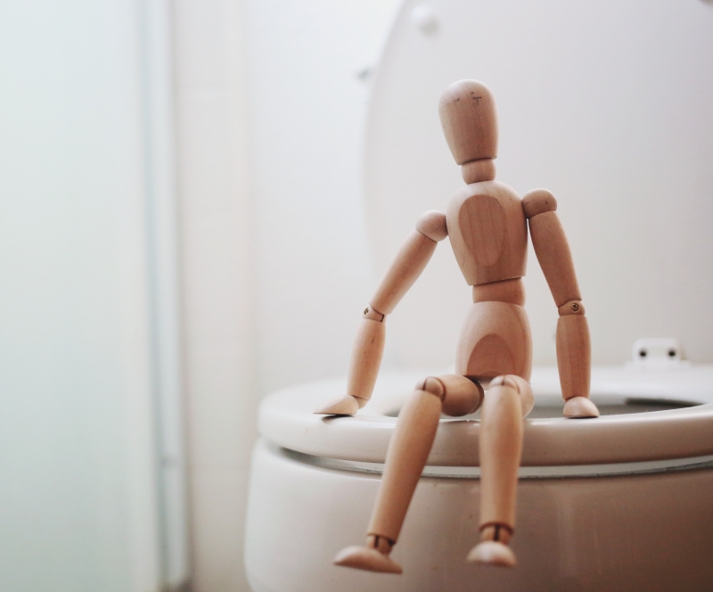변기에 인형이 앉아있는 사진
