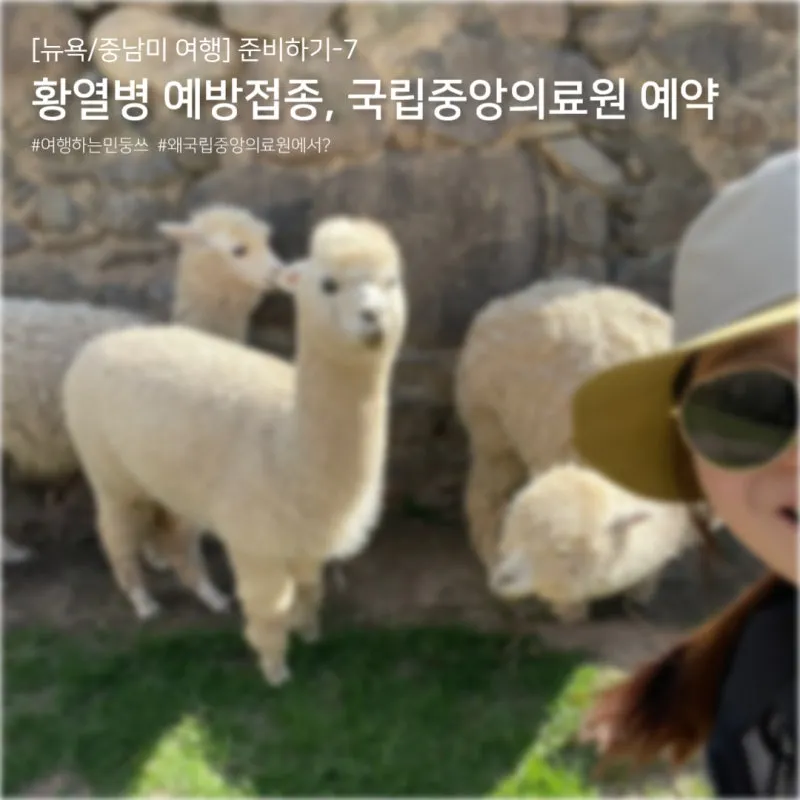 남미 황열병 예방접종 후기 경험과 준비사항_9