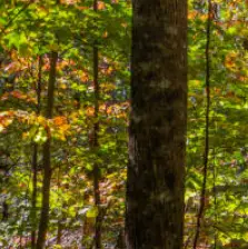 가을 단풍 구경 BEST 5 &mdash; 2025년 놓치면 아쉬울 국내 명소