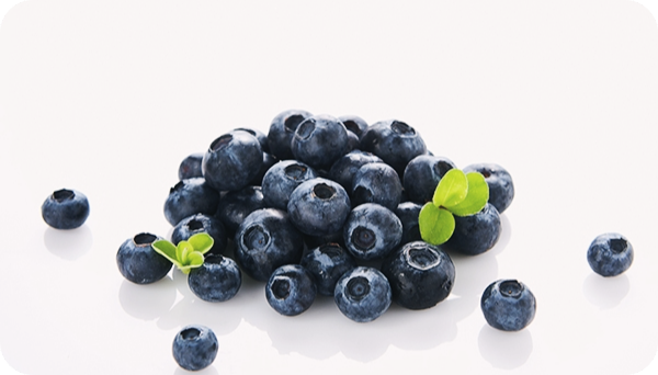 고지혈증에-좋은-음식