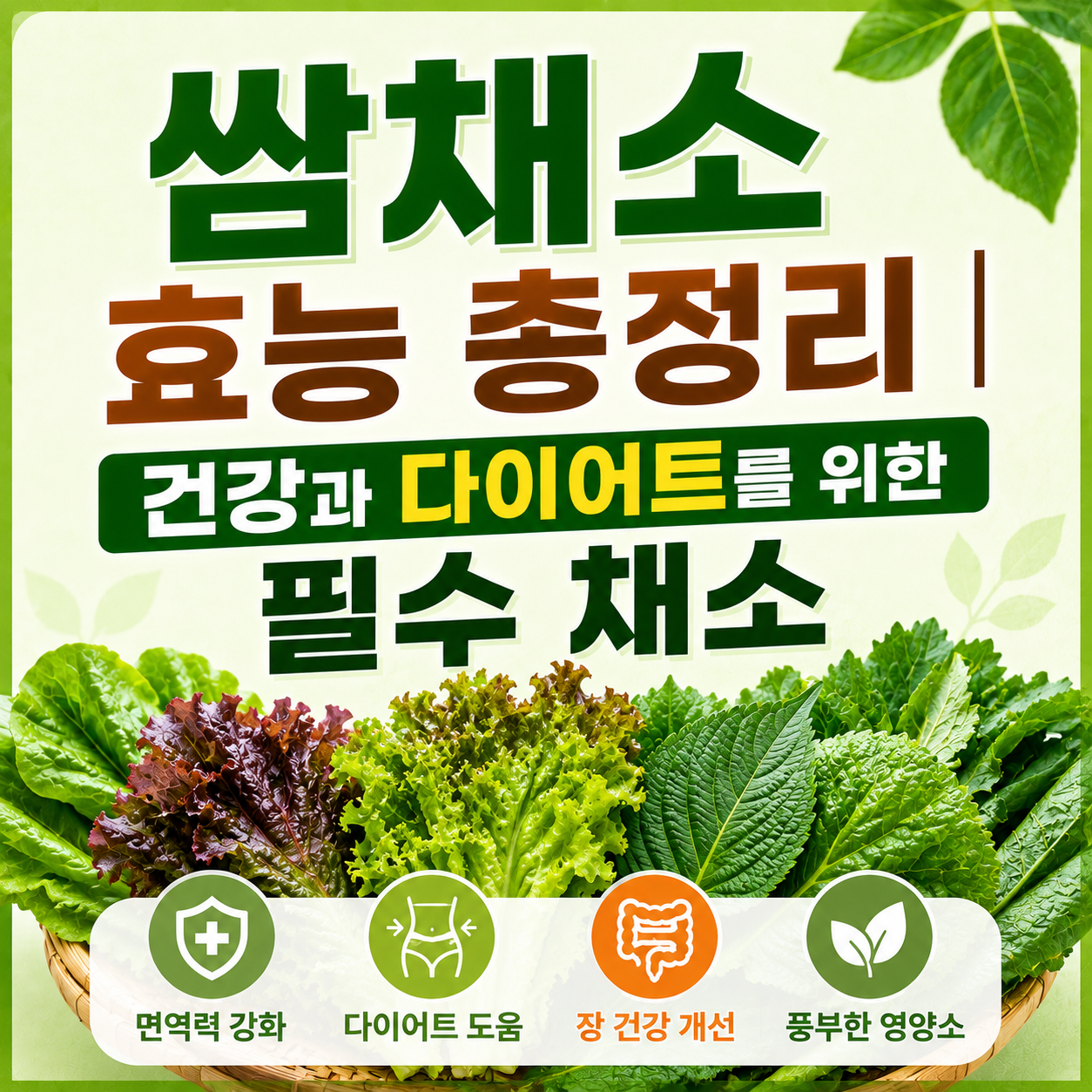 쌈채소 효능