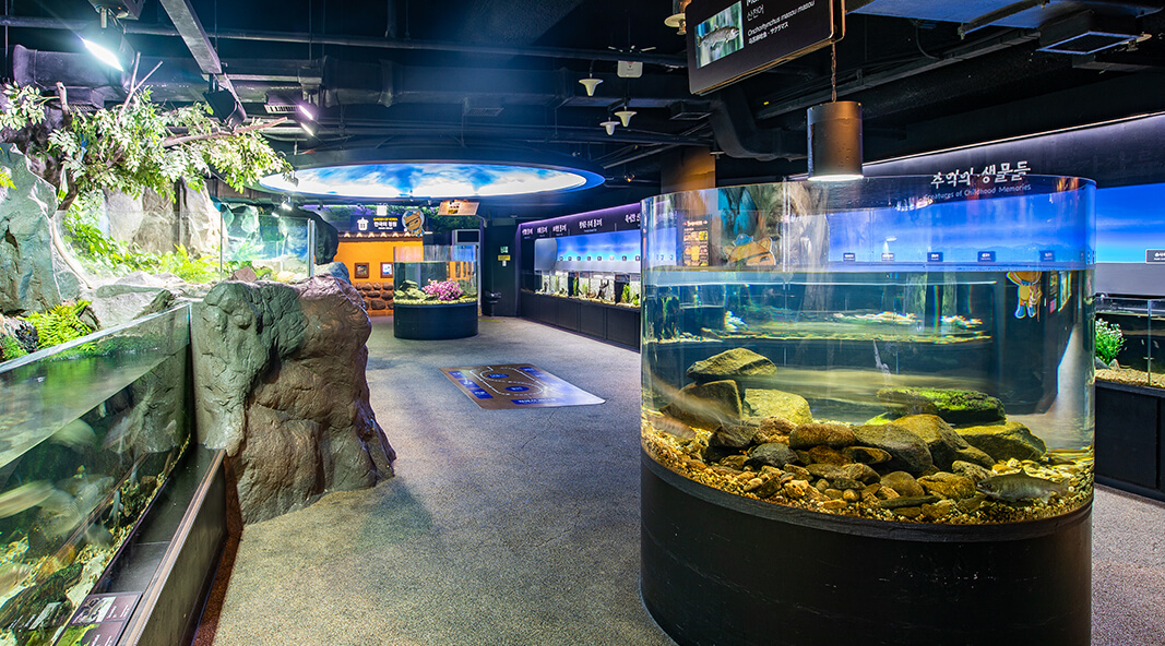 [당일치기] 코엑스 아쿠아리움 놀거리&amp;주차&amp;이벤트&amp;할인혜택