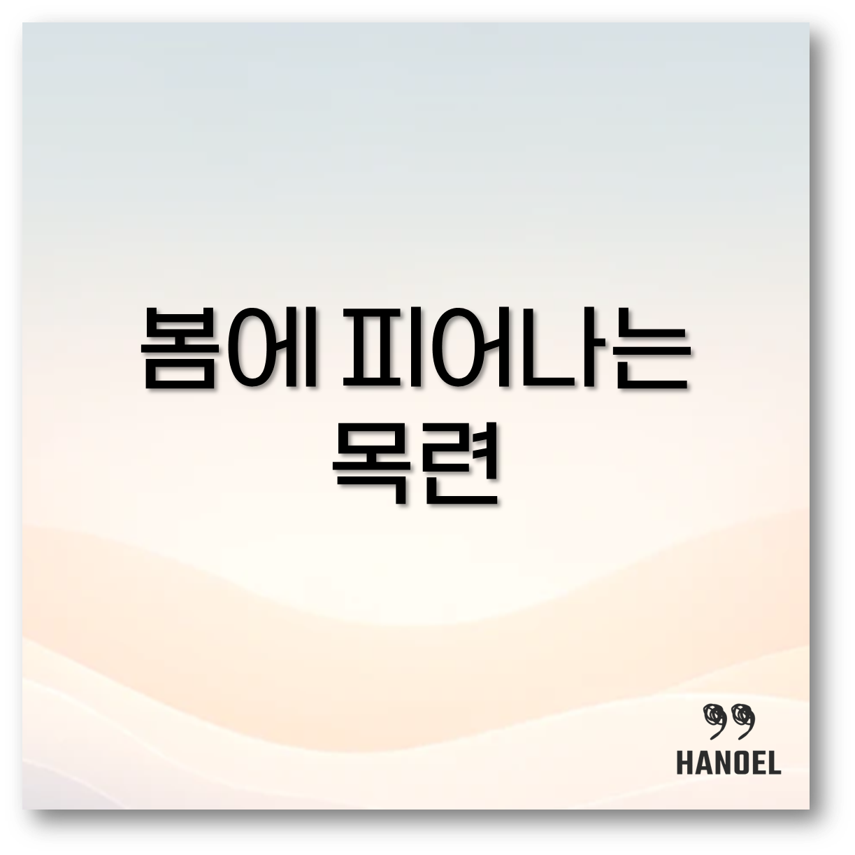 목련 꽃말