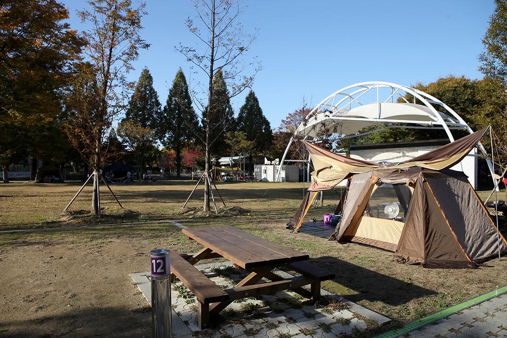 캠핑장 추천