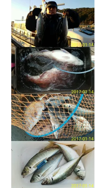 낚시 대상어별 시즌 감성돔 도다리 농어 전갱이 파악하기_6
