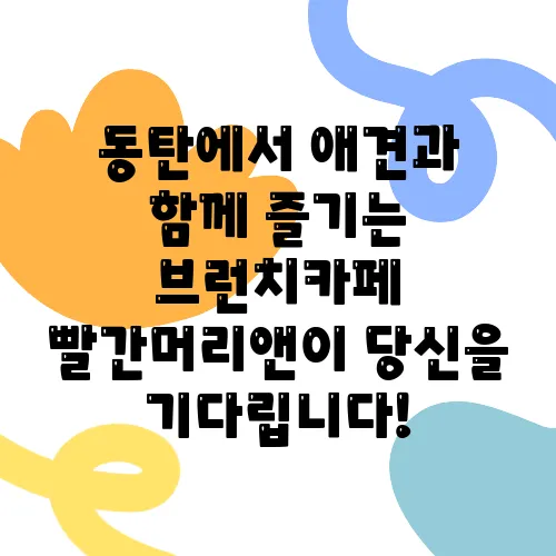 동탄에서 애견과 함께 즐기는 브런치카페 빨간머리앤이 당신을 기다립니다!