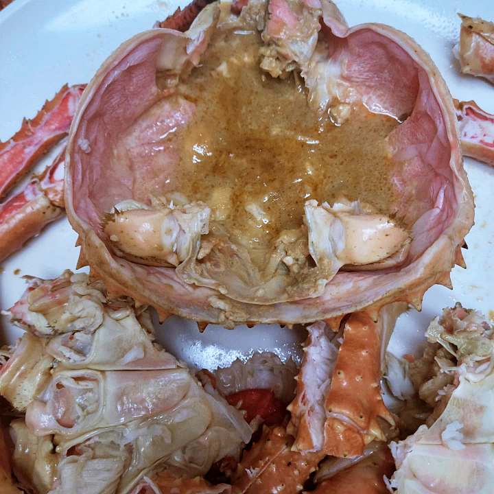 6시내고향 홍성 남당항 새조개 샤부샤부 전국 택배 주문 구매 가능 쭈꾸미 해산물 맛집 오늘 방송 추천