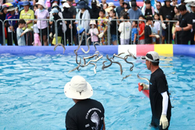 삼길포우럭축제