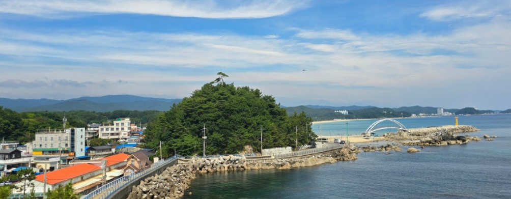 양양의 남애항