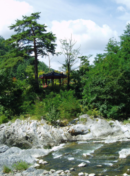 숙박세일페스타 관련 이미지