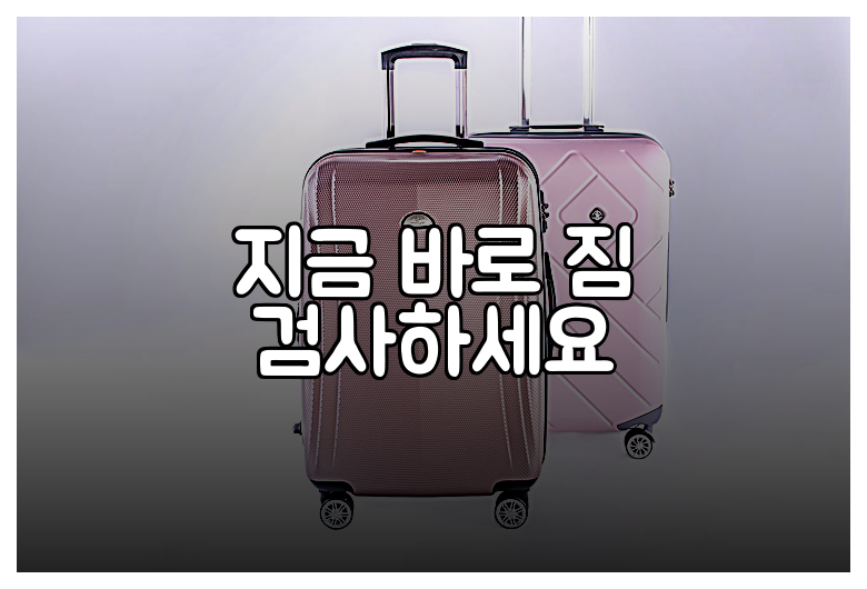 지금 바로 짐 검사하세요