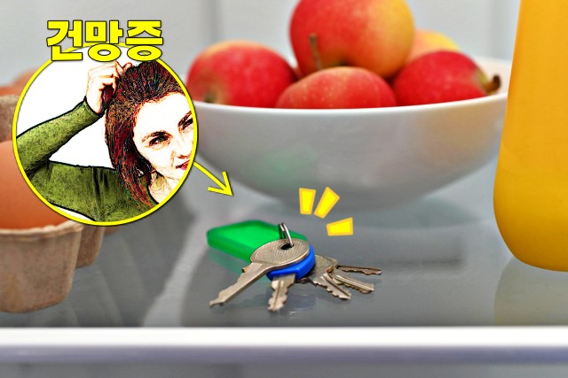 야채 섭취 부족 증상, 건망증 좋은 음식, 채소 섭취 부족 증상, 팁줌