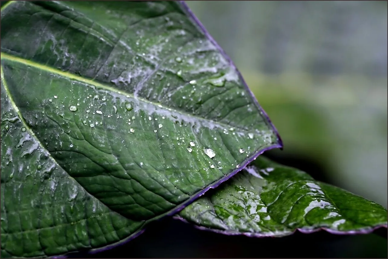 등기부등본 발급 어디서