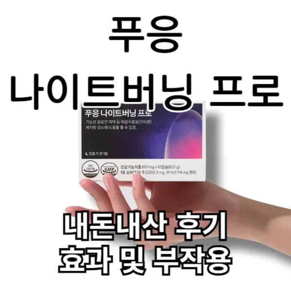 푸응 나이트버닝 프로 내돈내산 후기 효과 부작용 알고 드세요