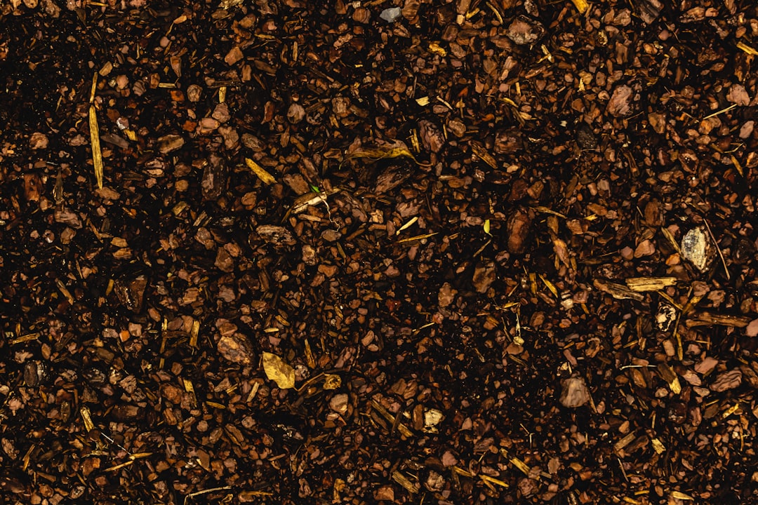 Substance