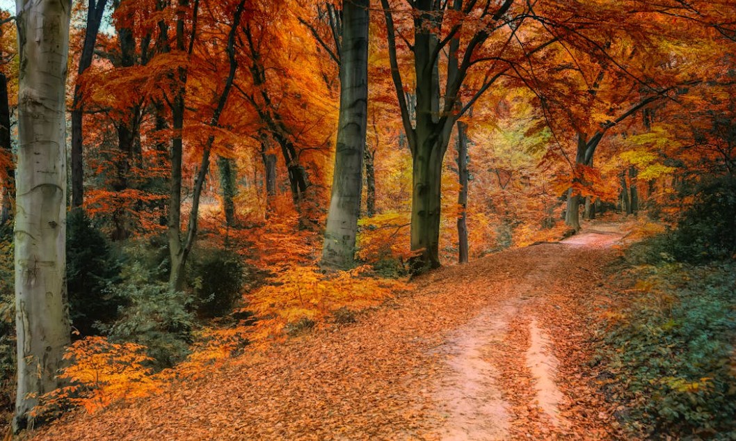 가을 아이와 함께 갈만한 여행지