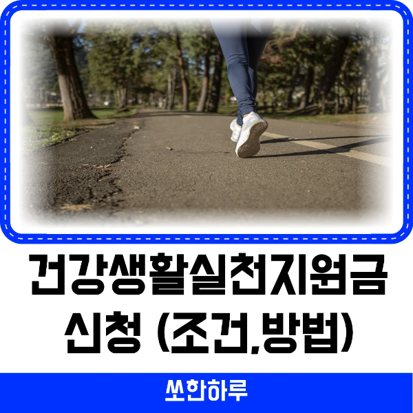 건강생활실천지원금