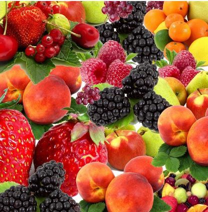 오디-섭취-시-주의사항-및-부작용1