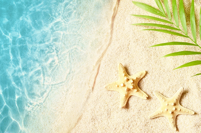 천안-소노벨-워터파크-할인-준비물-가격