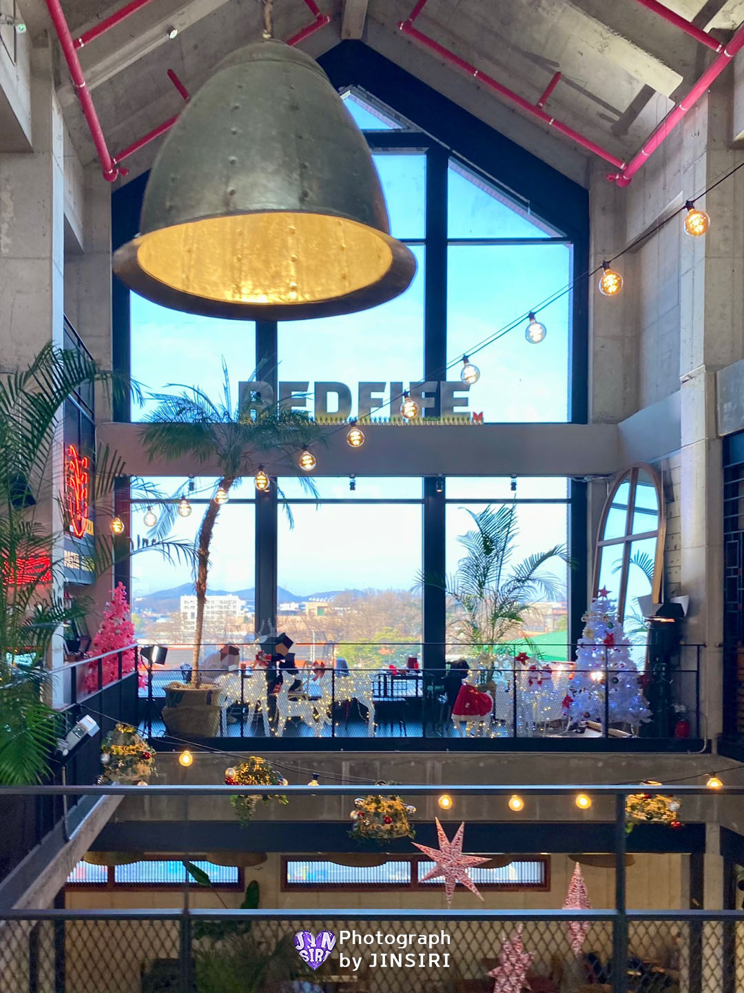 ๋ ๋ํ์ดํ ํฌํ ์กด