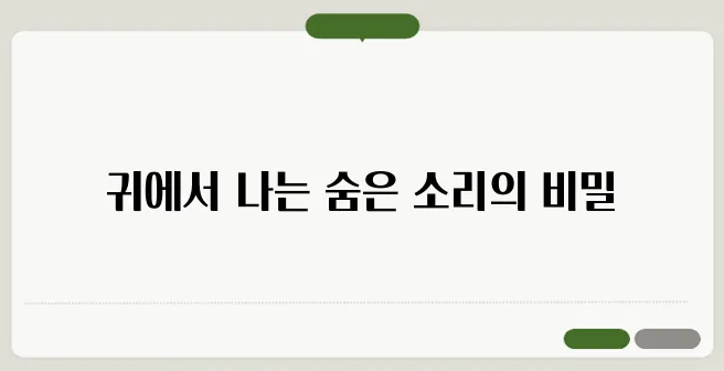 귀에서 소리가 나는 이유 자세하고 정확하게 설명드릴게요
